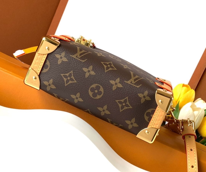 LV Box Bags